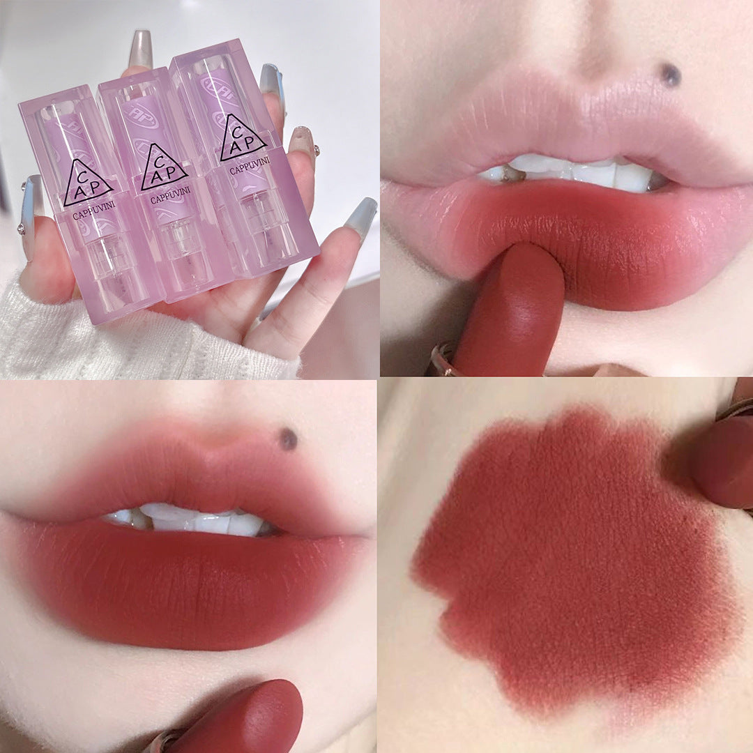 Orange Pink Transparent Case Nude Matte Lipsticks