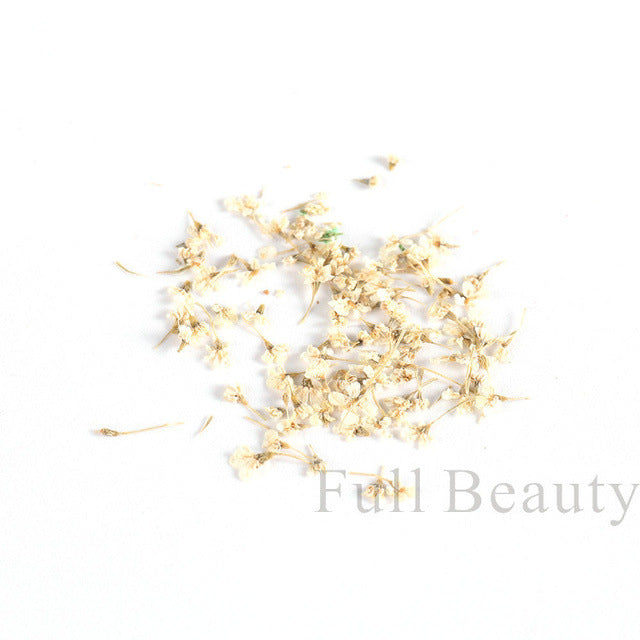 Hot Bottle French Dried Flower Ornament Real Natural Nail Care Nail Art