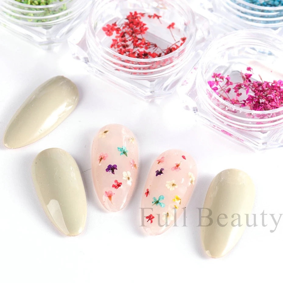 Hot Bottle French Dried Flower Ornament Real Natural Nail Care Nail Art