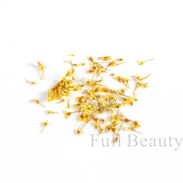 Hot Bottle French Dried Flower Ornament Real Natural Nail Care Nail Art