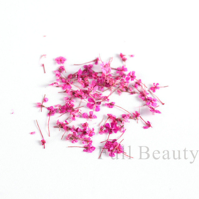 Hot Bottle French Dried Flower Ornament Real Natural Nail Care Nail Art