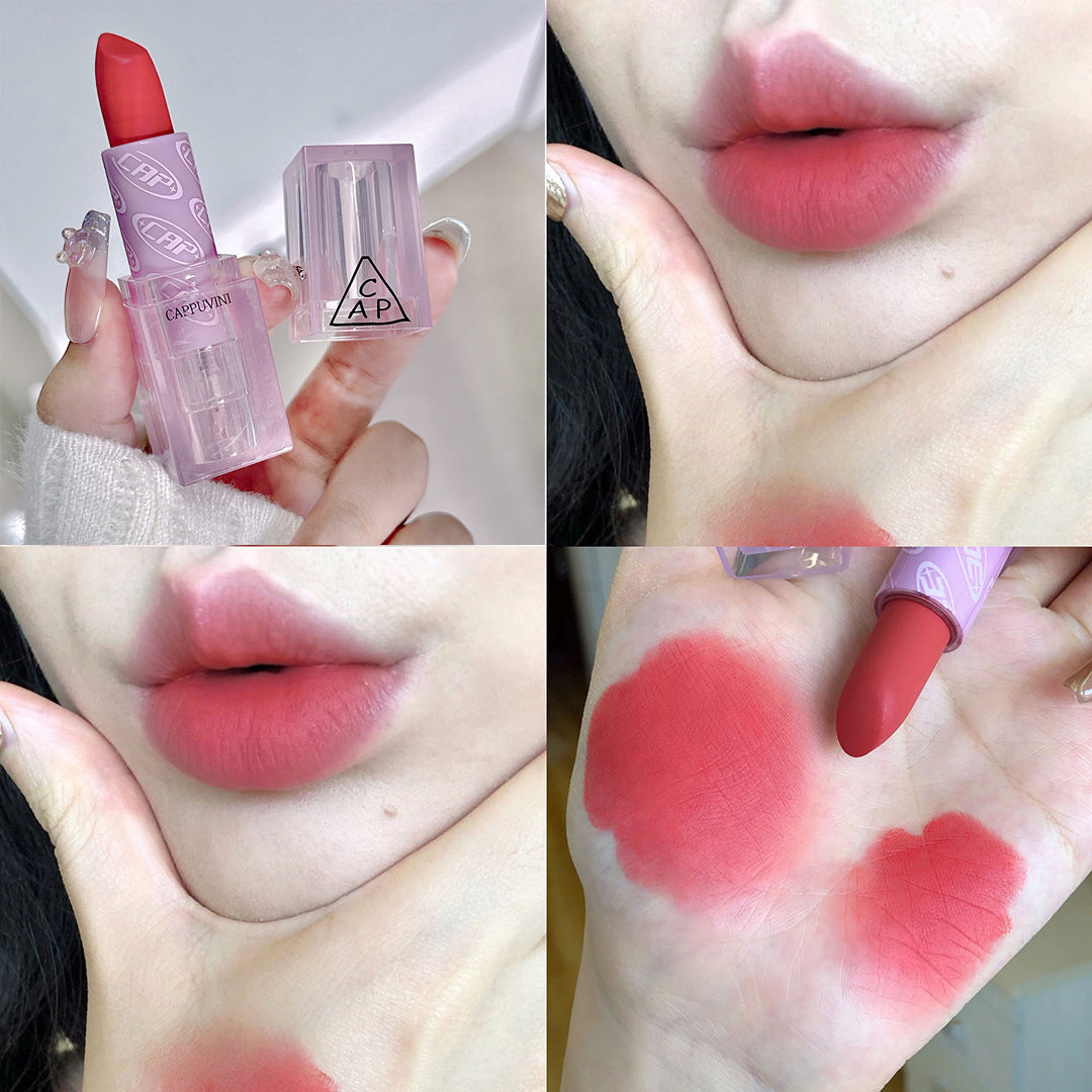 Orange Pink Transparent Case Nude Matte Lipsticks