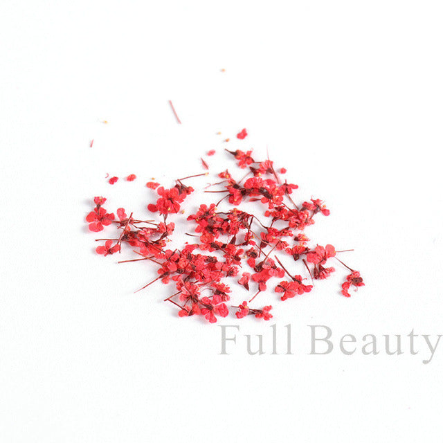 Hot Bottle French Dried Flower Ornament Real Natural Nail Care Nail Art