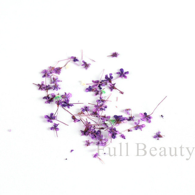 Hot Bottle French Dried Flower Ornament Real Natural Nail Care Nail Art