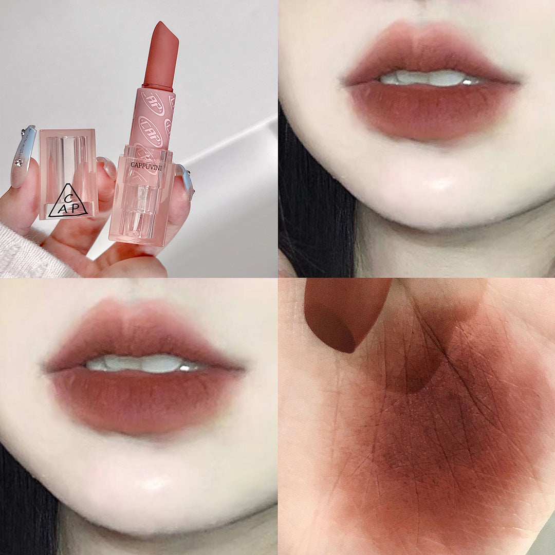 Orange Pink Transparent Case Nude Matte Lipsticks